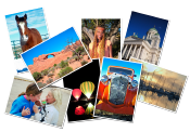 Image Library