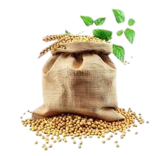 Agriculture & Food